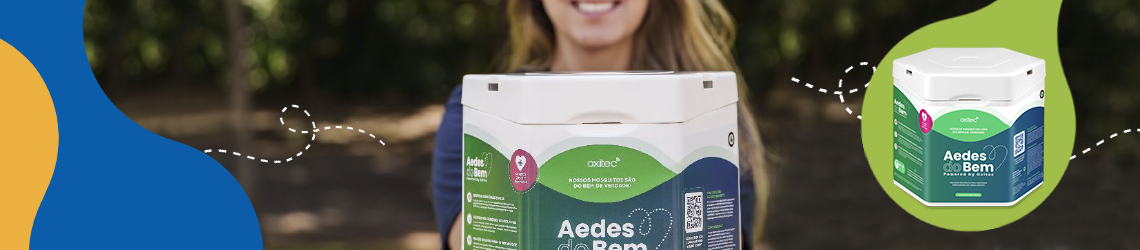 Aedes