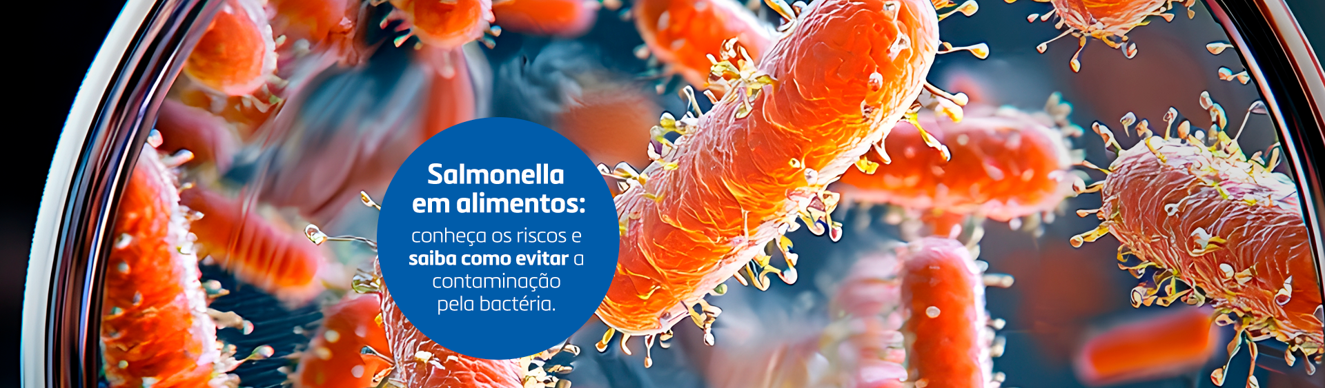 Bioseta Salmonela