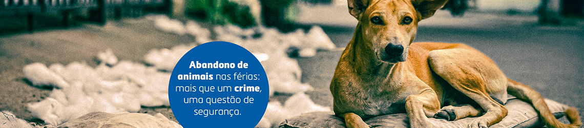 Abandono de animais durante as férias: um problema alarmante