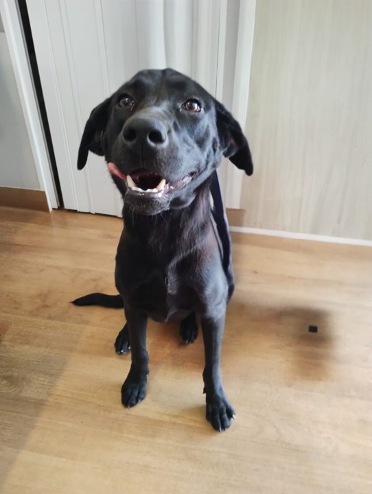 4f3a2003-5d21-44f8-961e-3519c67c00d5