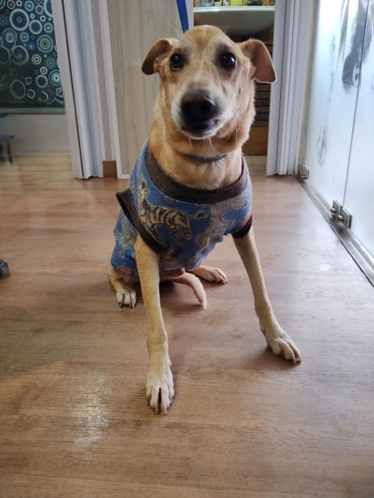 58fd0026-6dd3-404c-a9e9-0f0404e45225