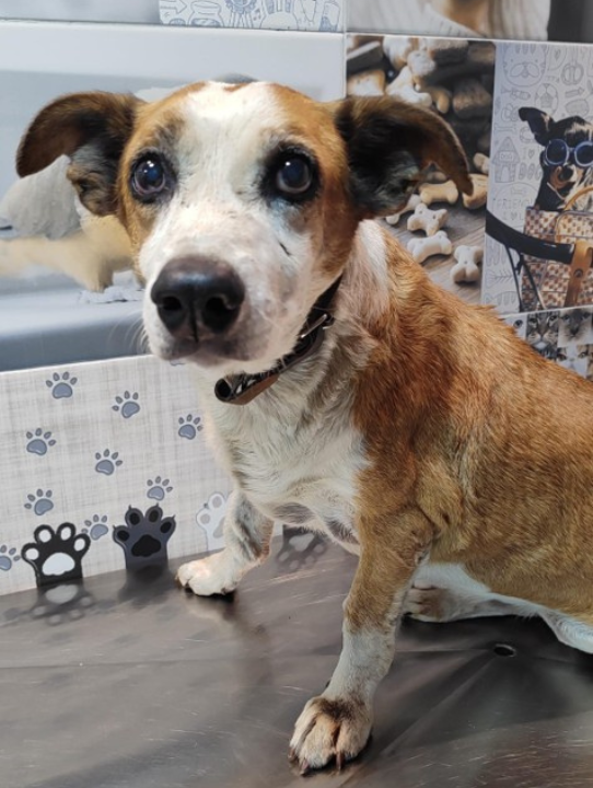 Design sem nome (33)