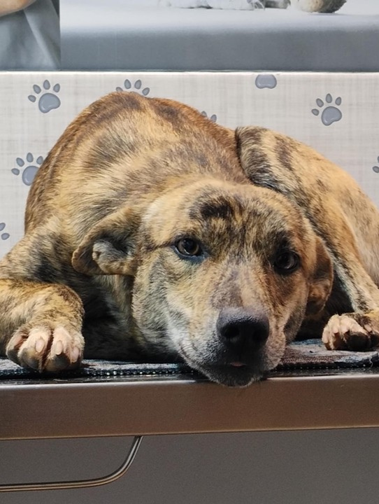 Design sem nome (34)