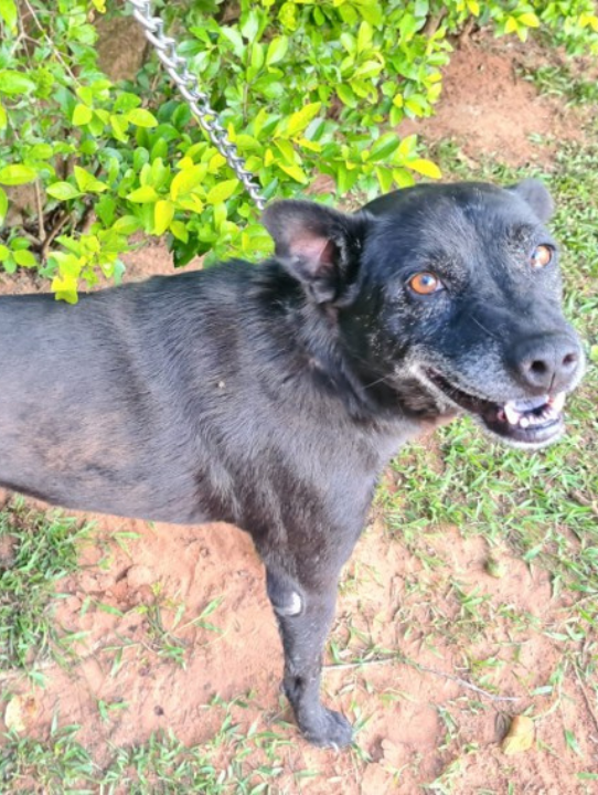 Design sem nome (35)