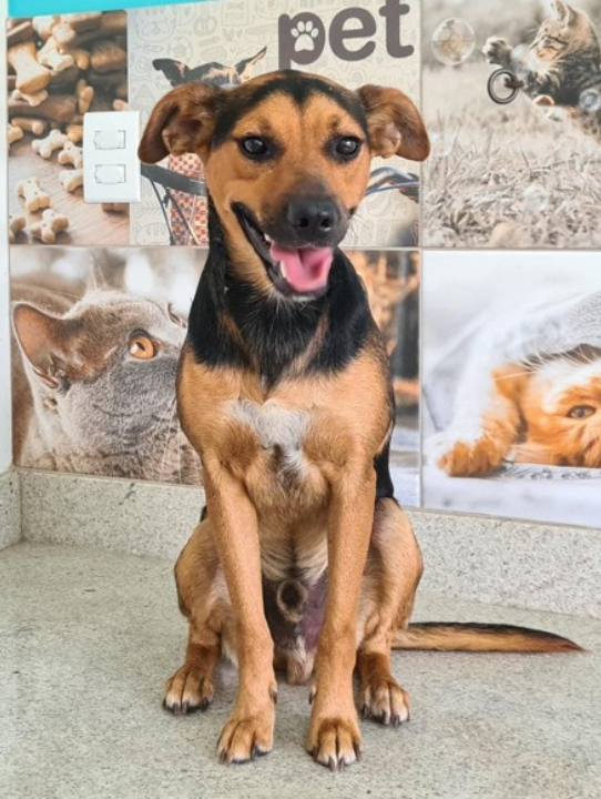 Design sem nome (36)