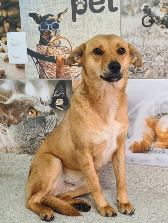 Design sem nome (37)