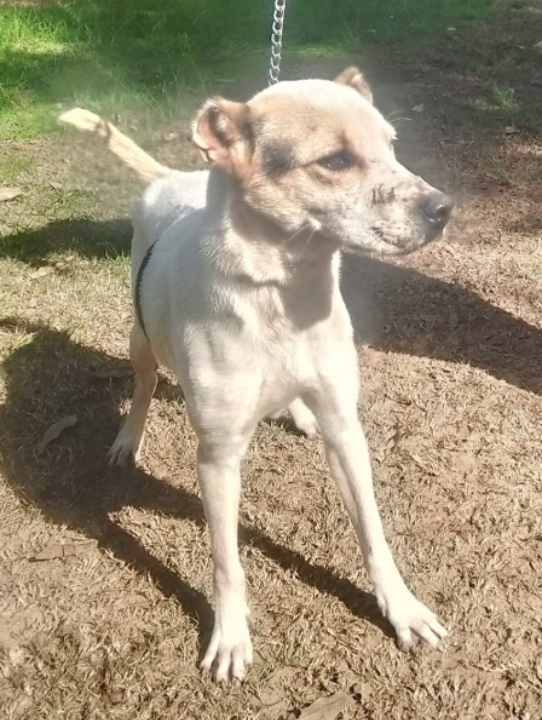 Design sem nome (38)