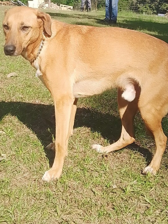 Design sem nome (39)