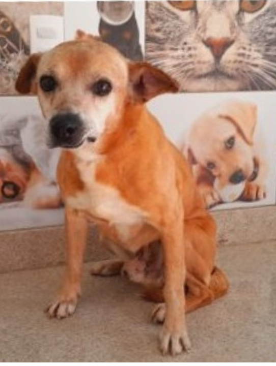 Design sem nome (42)