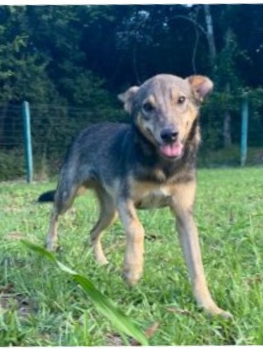 Design sem nome (44)