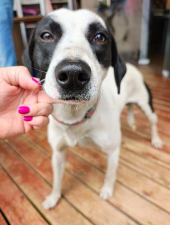 Design sem nome (45)