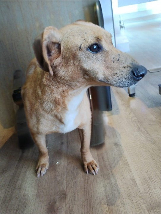 b093dc89-4383-47dc-aa09-5360790e51a0